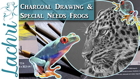 Realistic Charcoal Drawing & New Special Needs Frogs