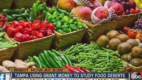 Community health project aims to fight food deserts