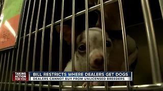 Bill restricts where dealers get dogs