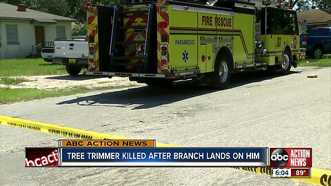 Tree trimmer killed by large branch in Hillsborough County, first responders on scene