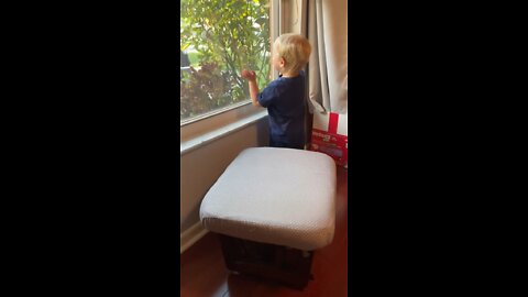 Toddler Gets Super Excited When His Daddy Comes Home!