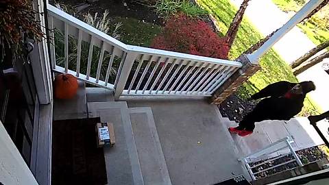 Thief steals Amazon package from porch in daylight