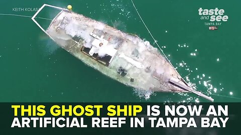 Abandoned ship transforms into artificial reef for marine life | Taste and See Tampa Bay