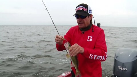 Leadcore for Big Walleye