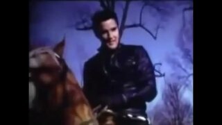 Elvis Presley - One More Day with You