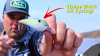 Best Crappie Baits to use ALL SPRING