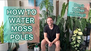 Watering Moss Poles #tutorial
