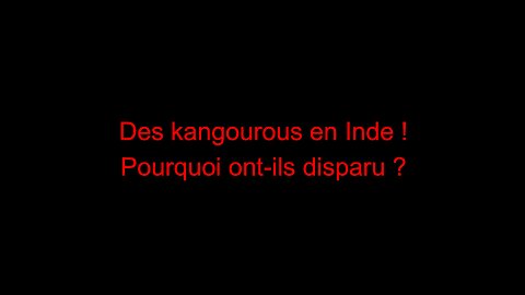 Des kangourous en Inde ! Pourquoi ont-ils disparu ?