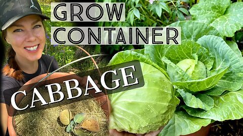 How to Grow Cabbage in a Container