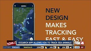 Ocearch app allows you to track sharks and other sea animals