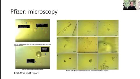 UK Covid-19 Injection Contents- Dr. Robert Verkerk - CiC Preliminary Findings