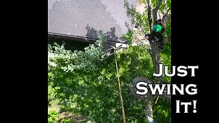 Just Swing It! - Arborist Rigging Adventures