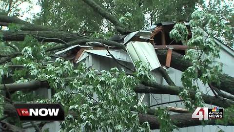 Storms topple trees in South KC neighborhood