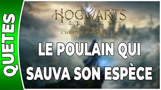 Hogwarts Legacy : l'Héritage de Poudlard - LE POULAIN QUI SAUVA SON ESPÈCE - Annexe 42 - [FR PS5]