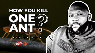 How You Kill One Ant? | Shepherd Pastor Muir