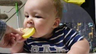 Cute Baby Tries Eating a Lemon