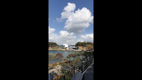 a beautiful bridge over the lake