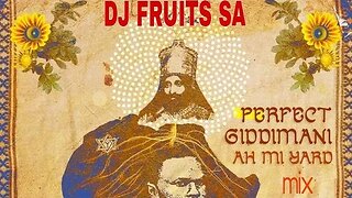 NEW Nice Roots Igraderecords Perfect Giddimani Mix by Dj Fruits 2023