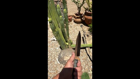 Best knife test. Cutting San Pedro to make grow more. 🌵