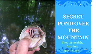I fished a Secret Pond over the mountains. In the Forest !