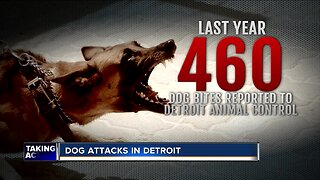 Dog attacks and bites in Detroit prompted more than 200 calls to 911 in the last year