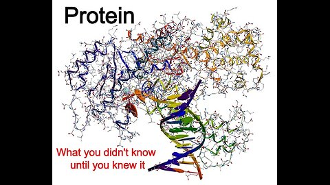 Protein - The things you did not know until you knew