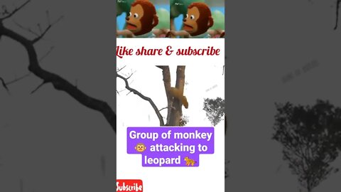 Group of monkey 🐒 attacking to leopard 🐆|| #shorts #youtubeshorts