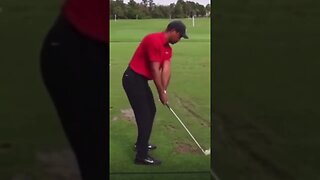 Tiger Woods Twerk Swing