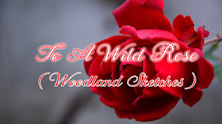To A Wild Rose - Thomas Walters Music