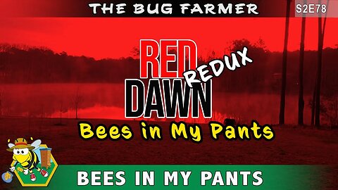 Bees in My Pants - Red Dawn Redux. Beekeeping gone wrong when aggressive bees attack beekeeper.