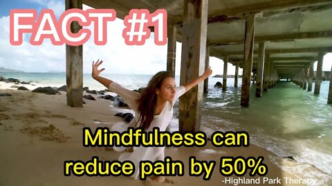 Meditation Facts #facts #mindfullness #meditation #1080p