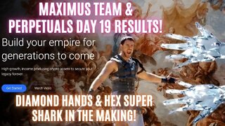 Maximus TEAM & PERPETUALS Day 19 Results! Diamond Hands & Hex Super Shark In The Making!