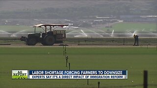 Ag Report: Crippling labor shortage, stock market plunge and new Mexican tomato agreement