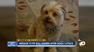 Message to Pit bull owners after deadly attack