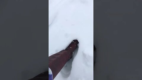 Walking in the snow.