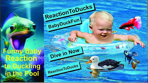 Funny Baby Reaction to Duckling in Pool - Kids Cartoon