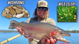 Eat Only What I CATCH & FORAGE For 24 Hours. NO Food, NO Water. (SURVIVAL CHALLENGE!)