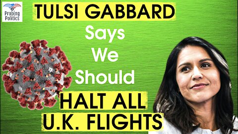 Tulsi Gabbard Says We Need To HALT Flights From The UK Because Of New Coronavirus Strain