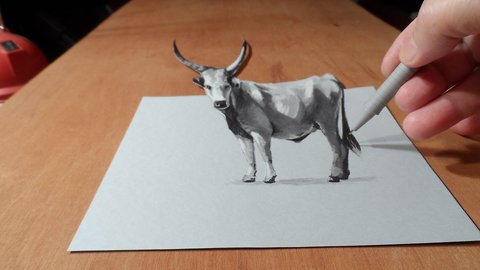 How to draw 3D grey cattle