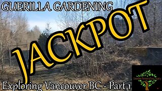 Vancouver Pt 1 - Guerrilla Gardening JACKPOT
