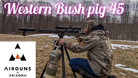 western bush pig 45cal (hunt)