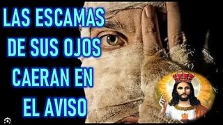 LAS ESCAMAS DE SUS OJOS CAERAN EN EL AVISO - JESUCRISTO REY A VASSULA