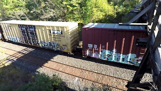 Manifest Train CN 2925 & CN 3118 Locomotives Westbound From Denfield Road Bridge