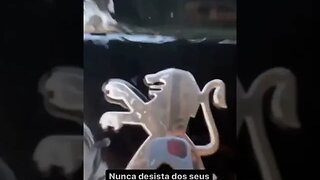 ACREDITE NOS SEUS SONHOS #meme #viral #rir #carrão #shorts