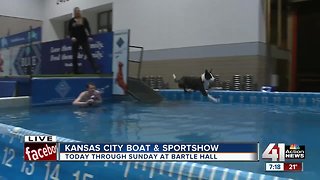 KC Boat and Sports Show includes DockDogs competition