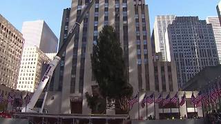 Rockefeller Center Christmas tree arrives in NYC