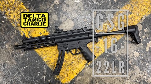 GSG-16 in 22lr / mp5 type built