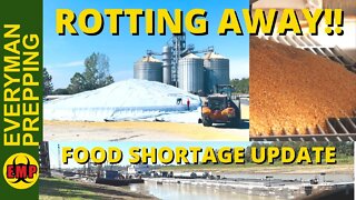 Food Shortages Growing As Crops Rot Under Tarps Along Mississippi River - Plus USDA Crop Projections
