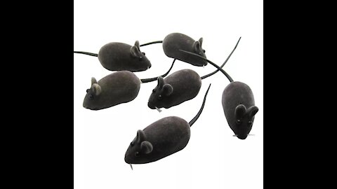 Mouse Squeak Sound Funny Rat Playing Toy For Cat Kitten Pet Play Toys Mini Funny
