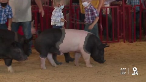 Exhibitors wear masks at Butler County Fair